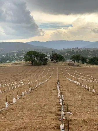 a view of a lake with a city