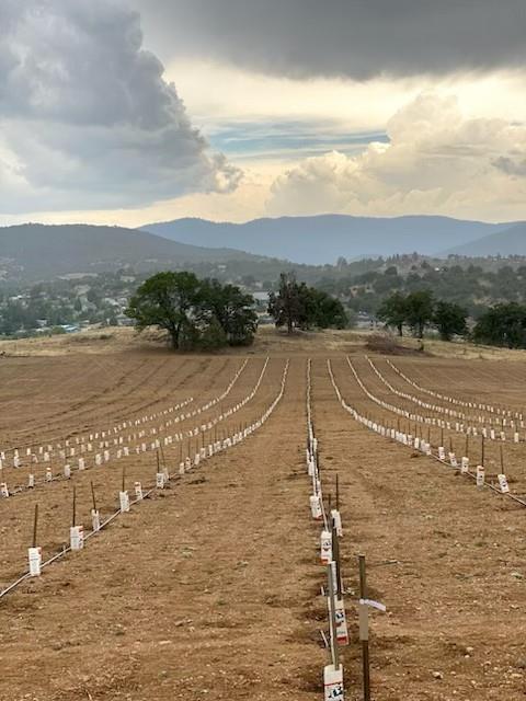 739 East Oberlin Road Yreka, CA 96097 - Photo 3 of 16