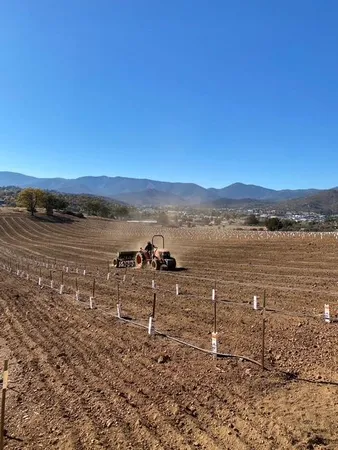 a view of a town with mountains in the background
