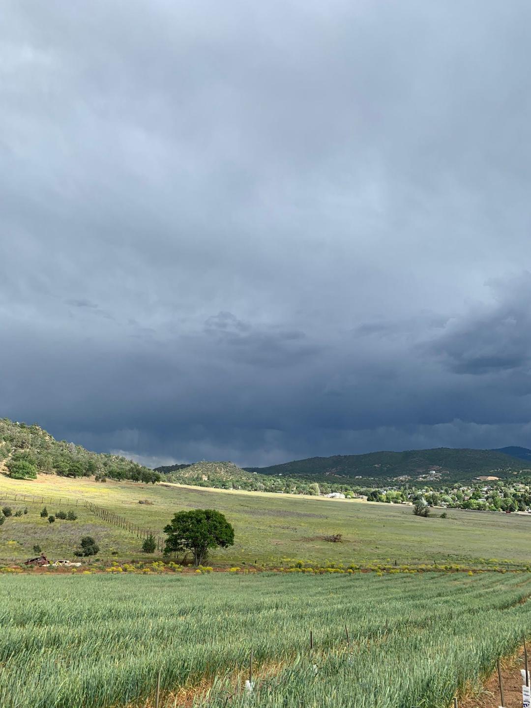 739 East Oberlin Road Yreka, CA 96097 - Photo 7 of 16
