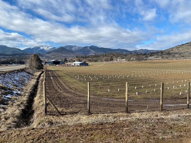 739 East Oberlin Road Yreka, CA 96097 - Photo 9 of 16