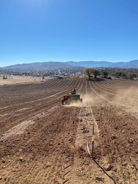 739 East Oberlin Road Yreka, CA 96097 - Photo 10 of 16
