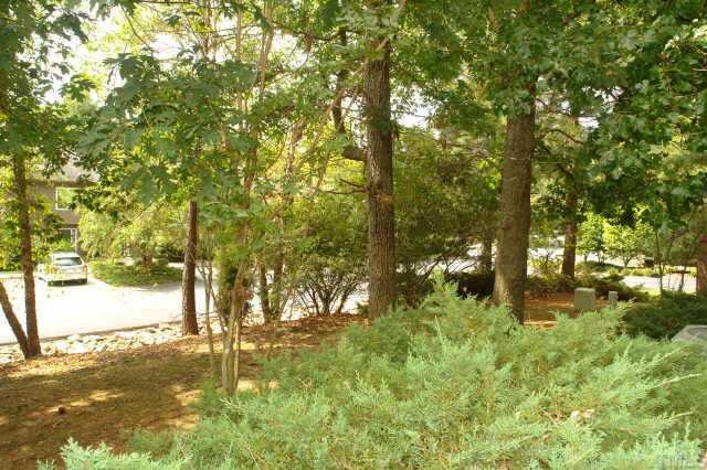 4211 Sunshadow Lane Raleigh, NC 27613 - Photo 10 of 10 a view of yard