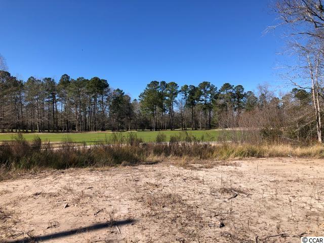 876 Caines Landing Road Conway, SC 29526 - Photo 3 of 39 Gallery Image 3