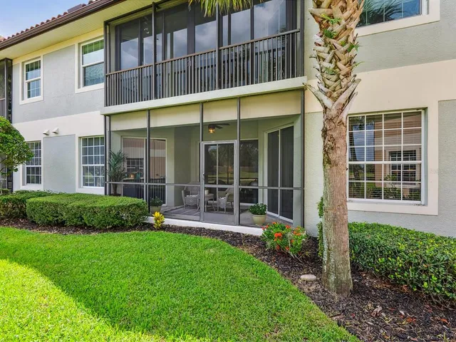 a view of a garden with a tree