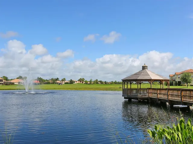 a picture of a tree with a yard