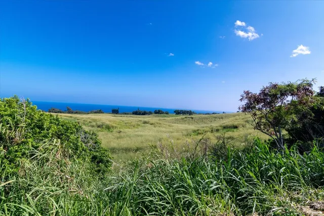 a view of an ocean and a yard