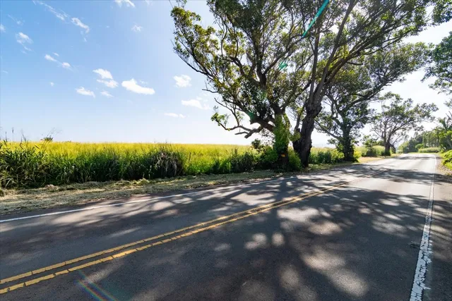 a view of street with trees