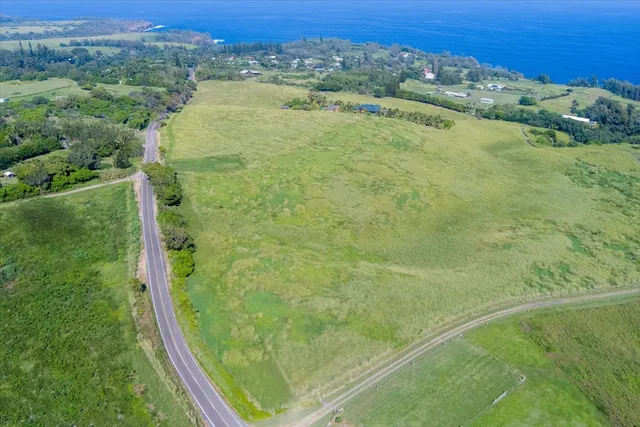 a view of a lake from a yard