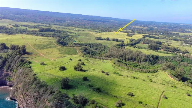a view of a area with mountains in the background
