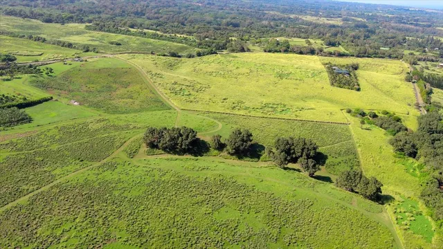 a view of a lake with a mountain