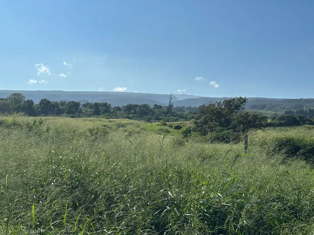 a view of a green field and mountains in the background