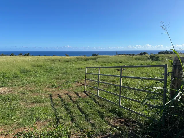a view of an outdoor space and a yard