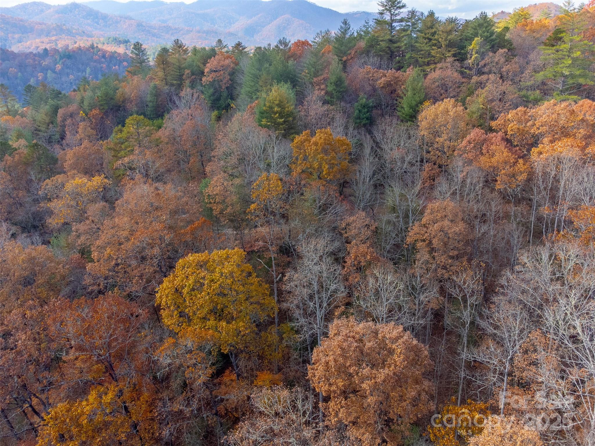 Lot 24 Rivers Edge Road Franklin, NC 28734 - Photo 13 of 18 a view of a forest with a forest