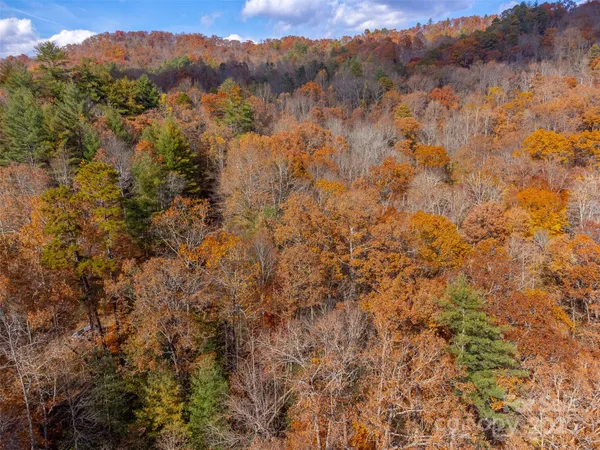 a view of mountain with trees in the background
