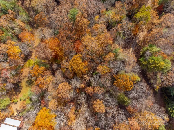 a view of backyard with pathway