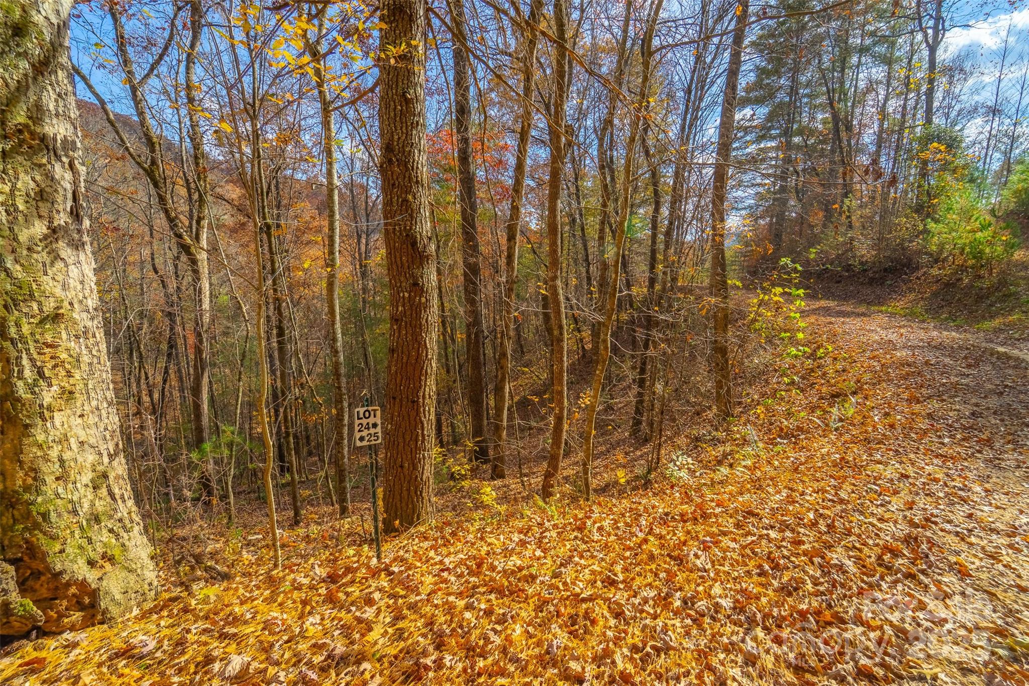 Lot 24 Rivers Edge Road Franklin, NC 28734 - Photo 18 of 18 a view of backyard with pathway