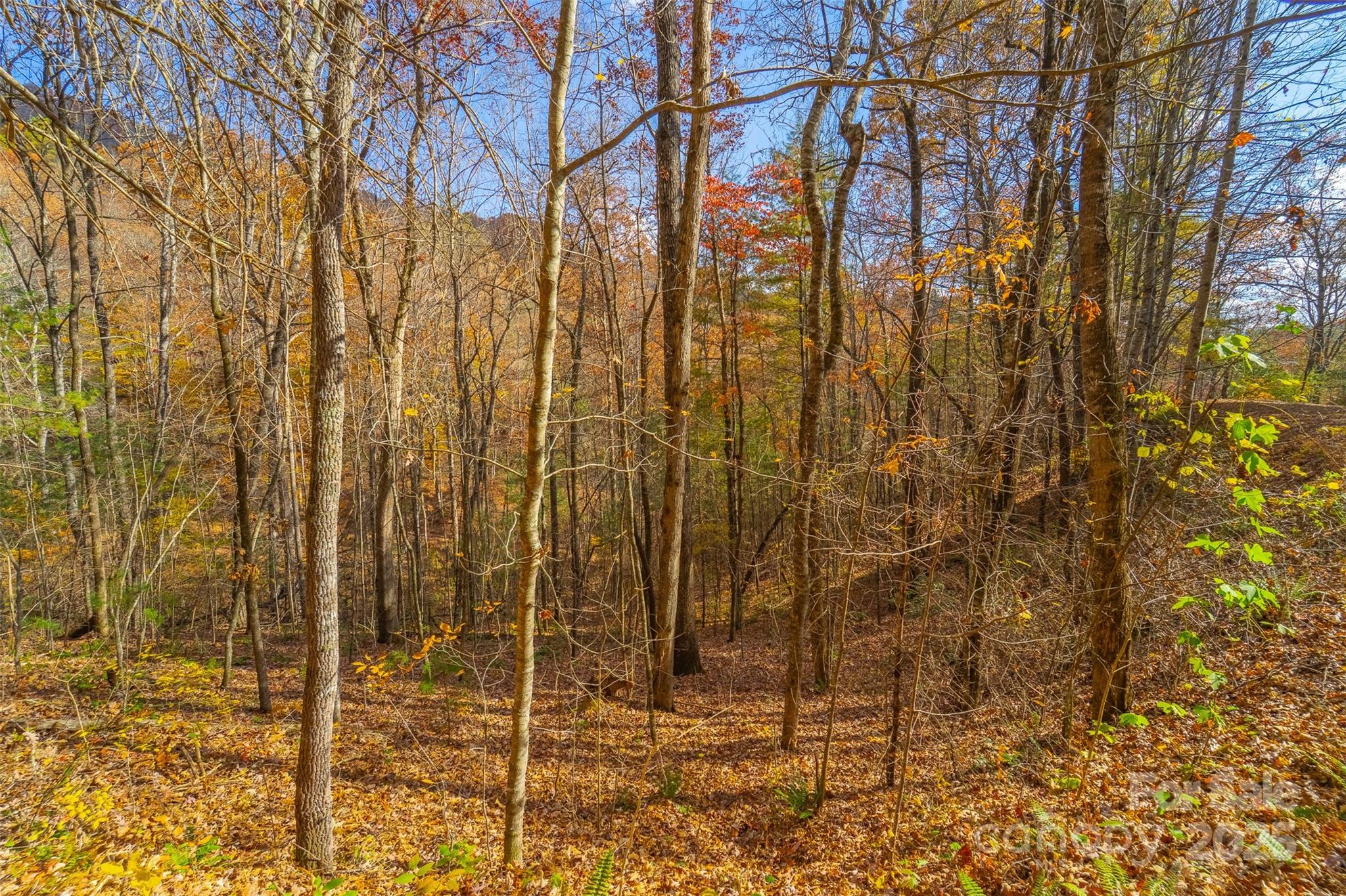 Lot 24 Rivers Edge Road Franklin, NC 28734 - Photo 2 of 18 a view of a row of next to a building