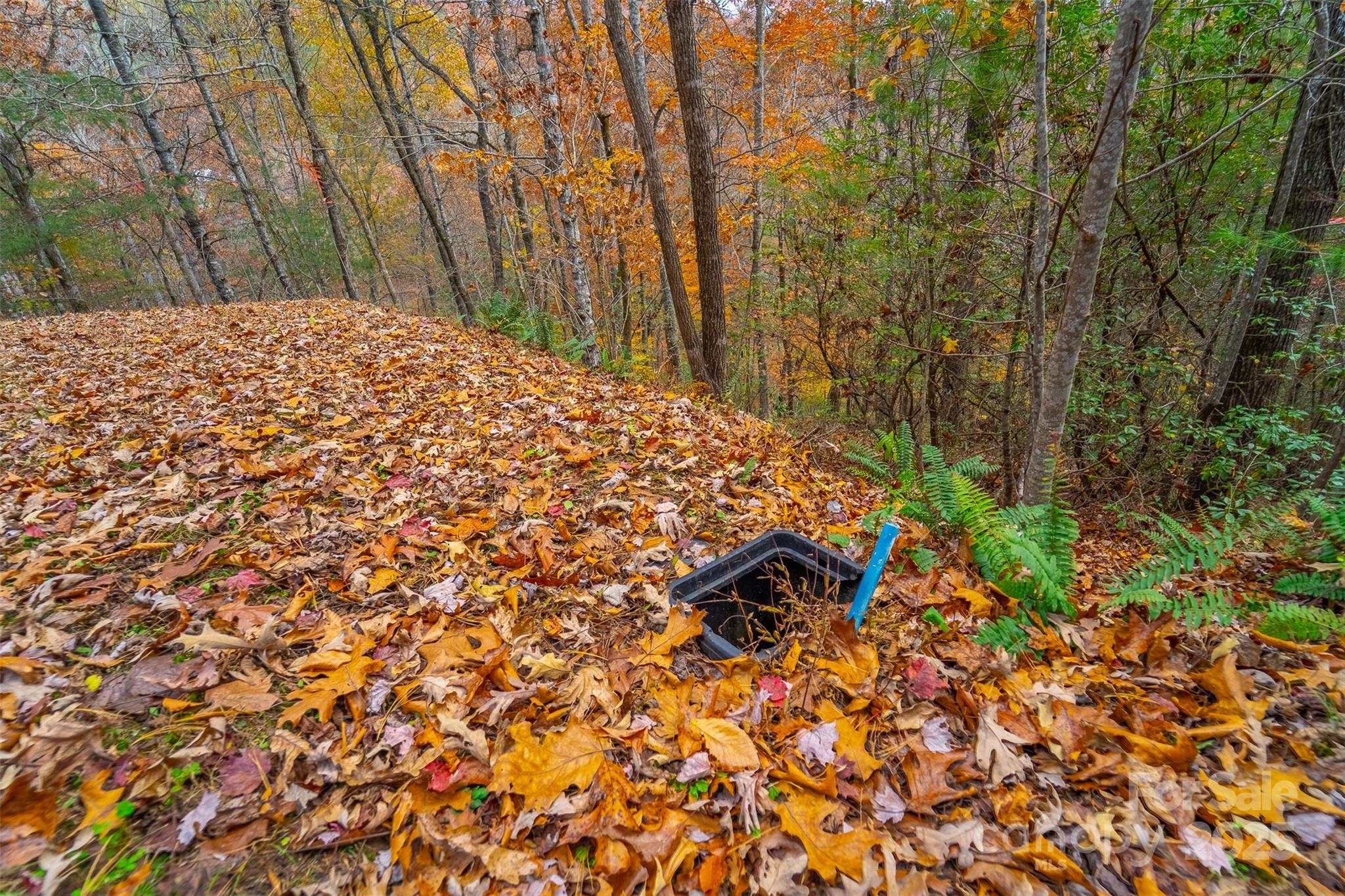 Lot 24 Rivers Edge Road Franklin, NC 28734 - Photo 4 of 18 a view of a backyard with pathway