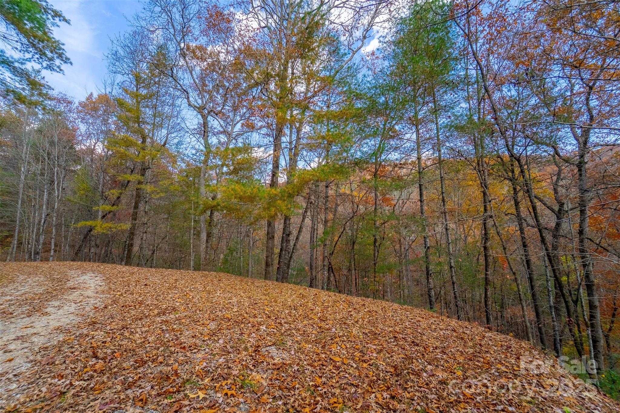 Lot 24 Rivers Edge Road Franklin, NC 28734 - Photo 5 of 18 a view of a yard with trees