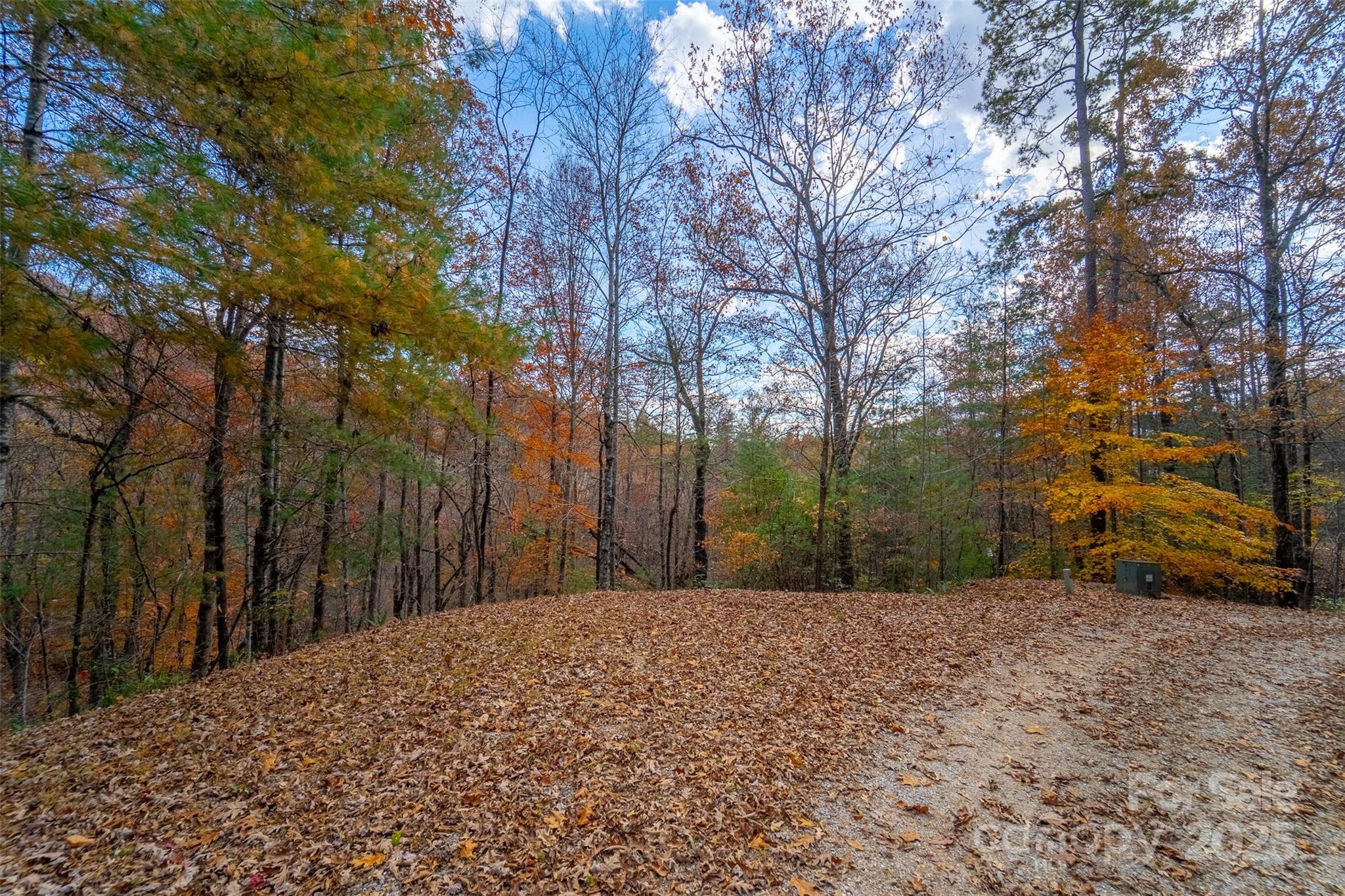 Lot 24 Rivers Edge Road Franklin, NC 28734 - Photo 6 of 18 a view of a backyard of the house