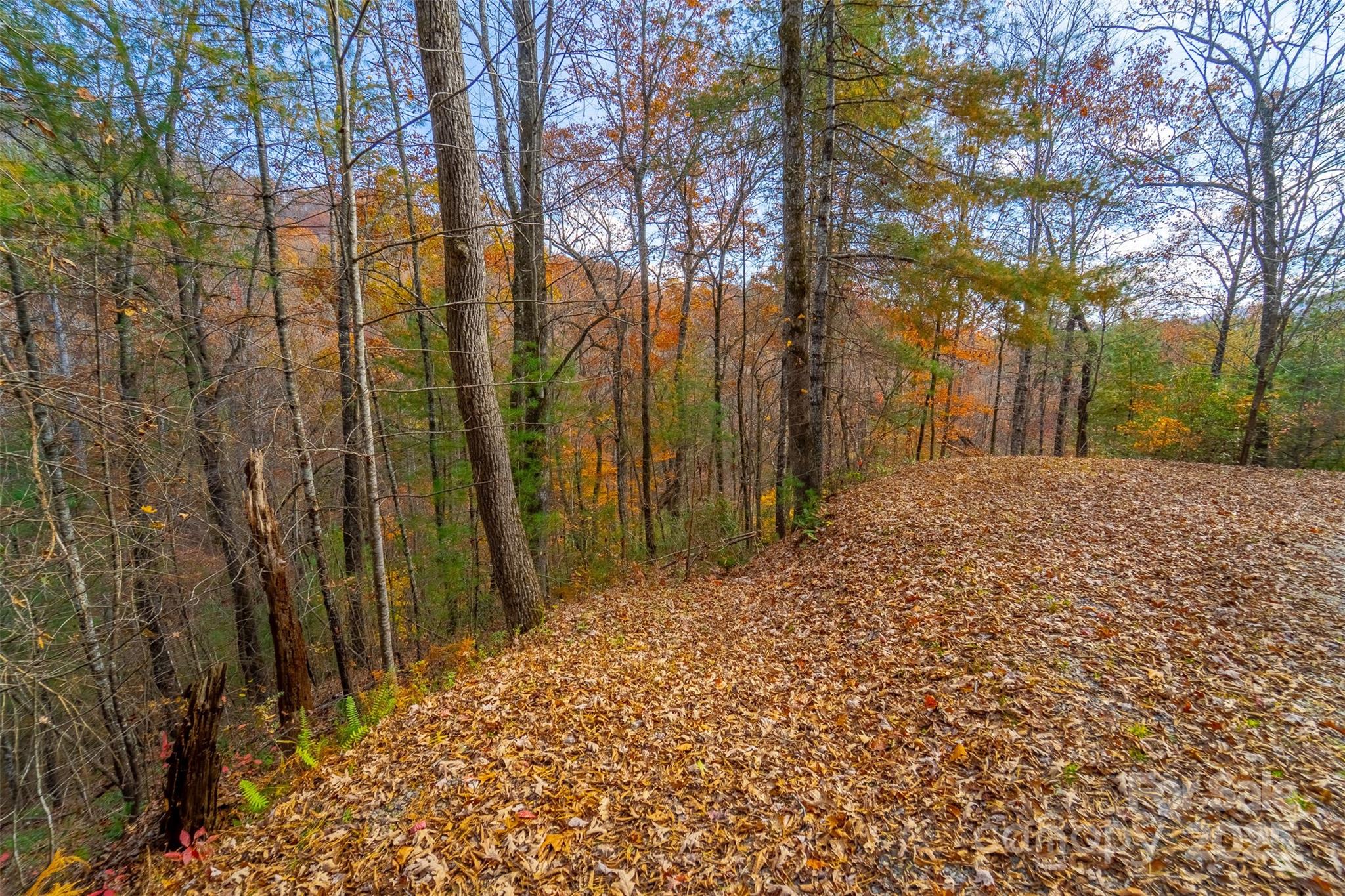 Lot 24 Rivers Edge Road Franklin, NC 28734 - Photo 7 of 18 a view of a backyard of the house