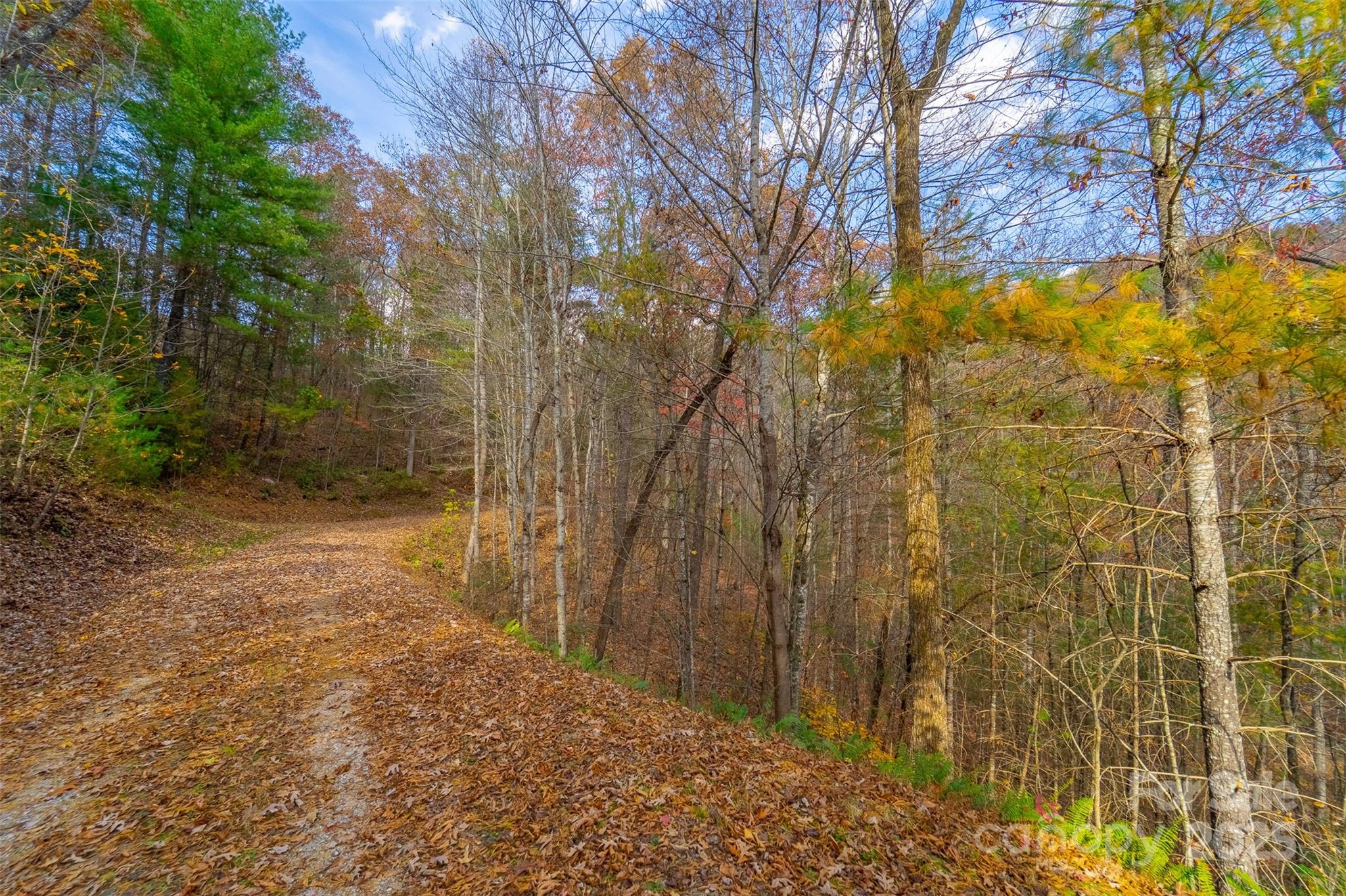 Lot 24 Rivers Edge Road Franklin, NC 28734 - Photo 8 of 18 a view of a yard with large tree