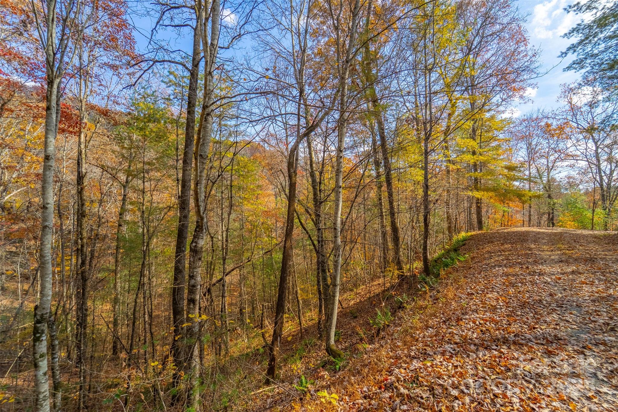 Lot 24 Rivers Edge Road Franklin, NC 28734 - Photo 9 of 18 a backyard of a house with lots of green space