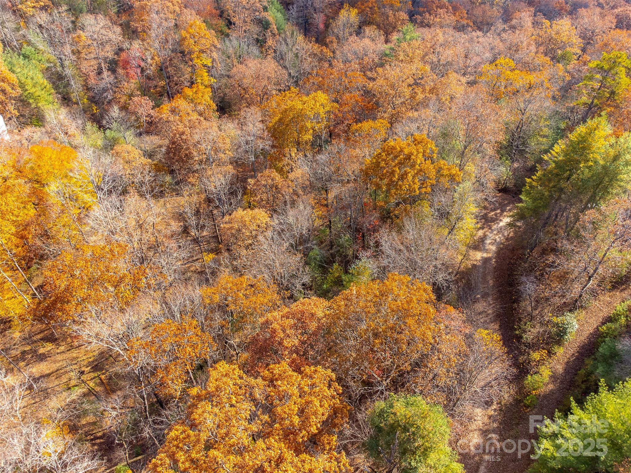 Lot 24 Rivers Edge Road Franklin, NC 28734 - Photo 10 of 18 a view of a yard