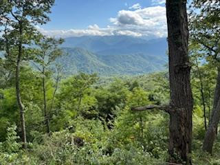 Lot 30 Hickory Cove Road Bryson City, NC 28713 - Photo 1 of 5 Main View