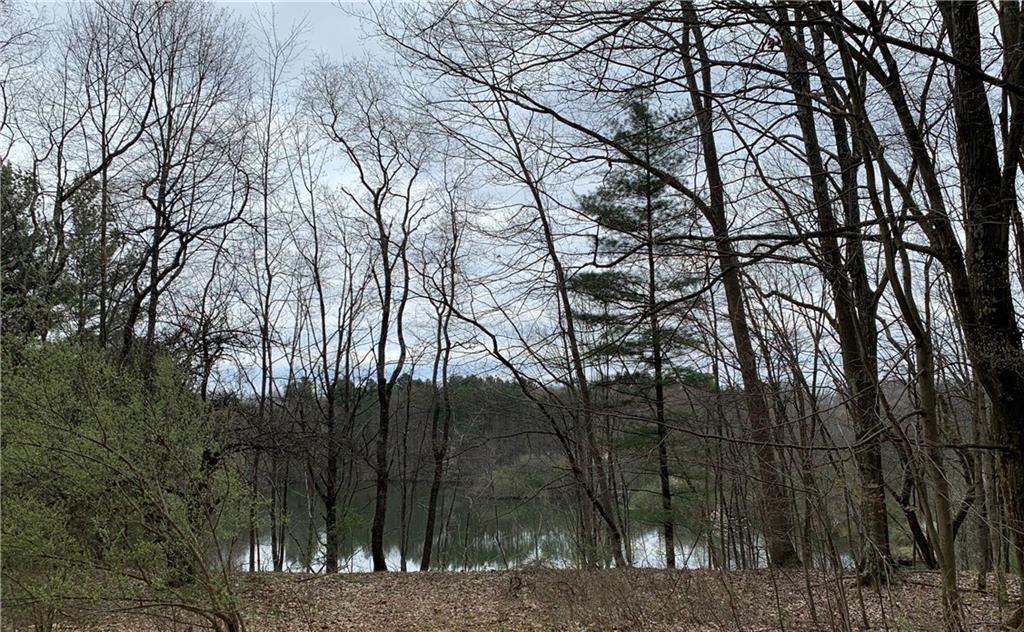 323 Boyers Road Harrisville, PA 16038 - Photo 22 of 25 Path between the house and lake surrounded by tall trees.