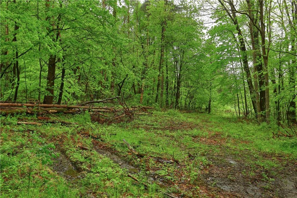 323 Boyers Road Harrisville, PA 16038 - Photo 23 of 25 Private and wooded location.
