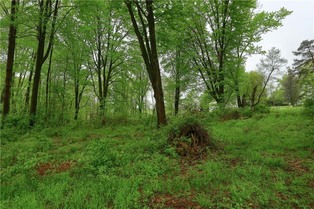 323 Boyers Road Harrisville, PA 16038 - Photo 24 of 25 Note the large yard surrounding the house, plenty of space for a home orchard and garden.