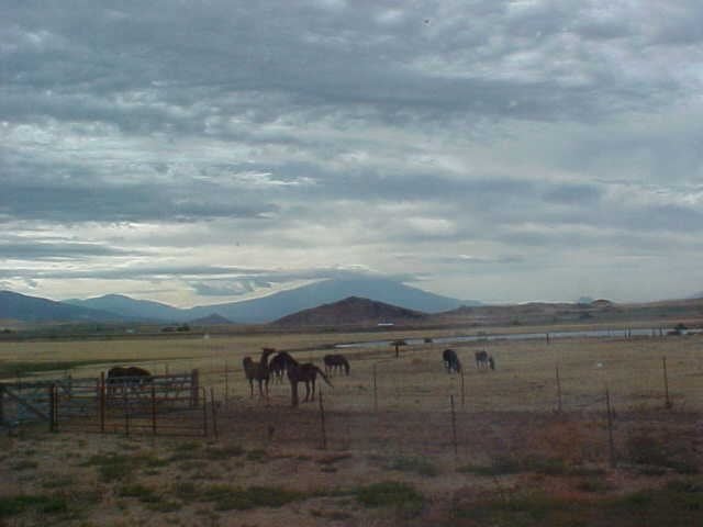 3100 Kuck Road Montague, CA 96064 - Photo 6 of 6 Gallery Image 6