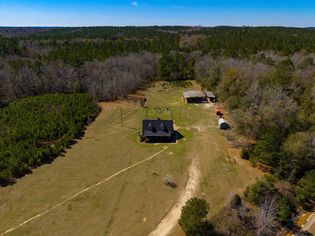 26 Dan Brinson Road Lumpkin, GA 31815 - Photo 6 of 50 looking west across northern section of property
