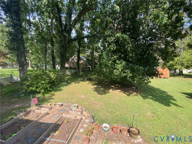 a view of a yard with plants