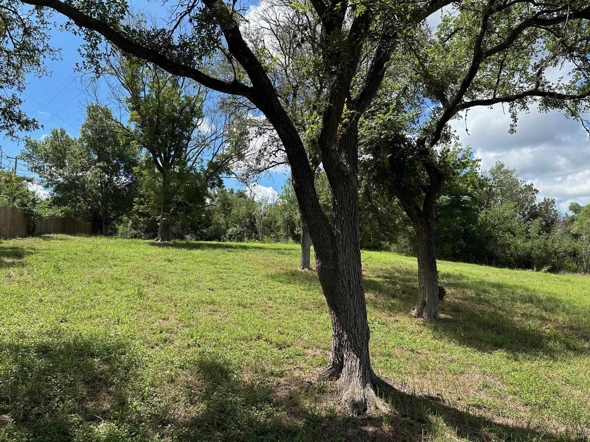 Unk Old River Road Marble Falls, TX 78654 - Photo 7 of 8 a view of backyard with large trees