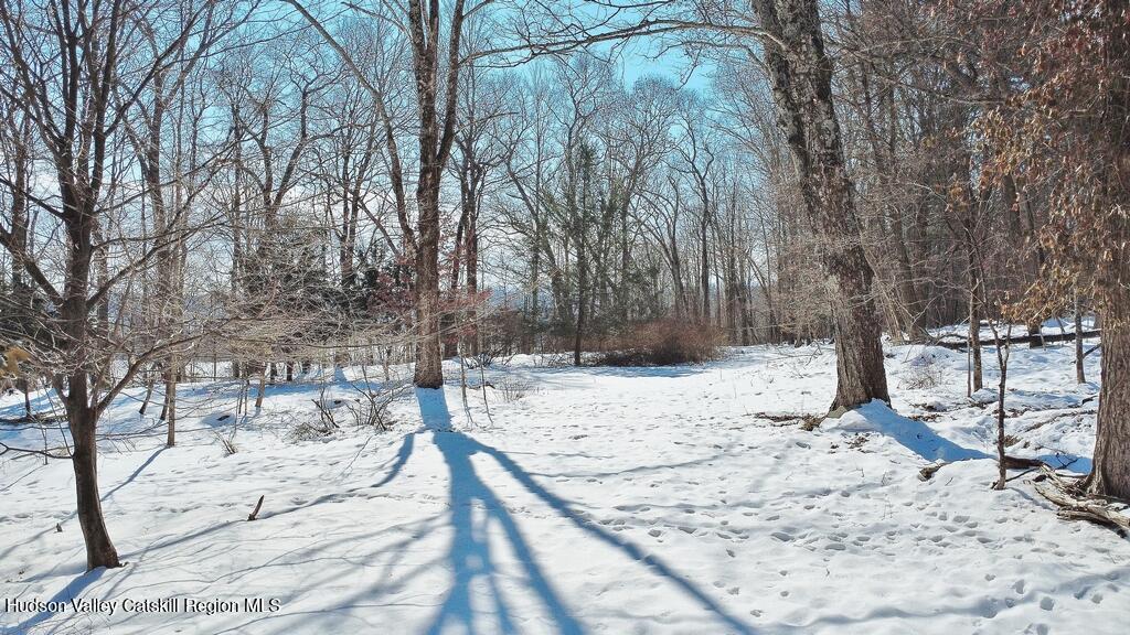 139 Mill Dam Road Stone Ridge, NY 12484 - Photo 11 of 18 a view of a yard covered in snow