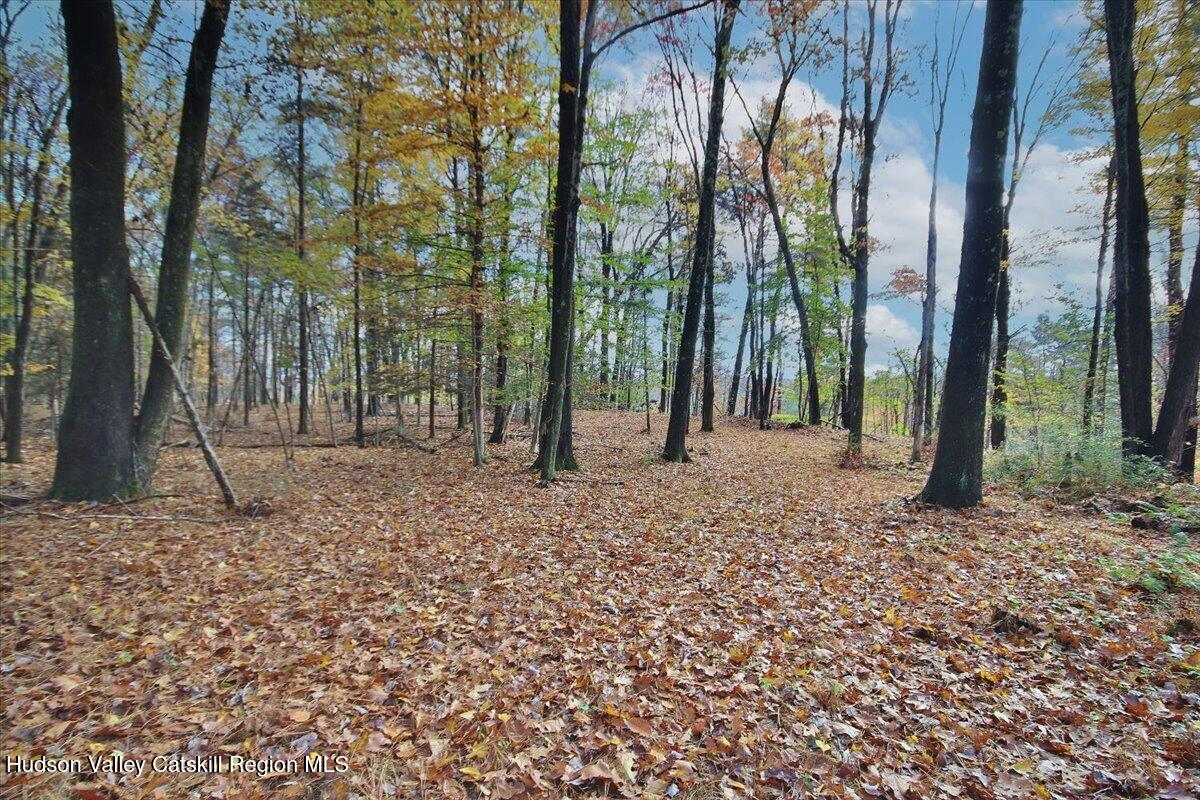 139 Mill Dam Road Stone Ridge, NY 12484 - Photo 14 of 18 a backyard of a house with lots of green space