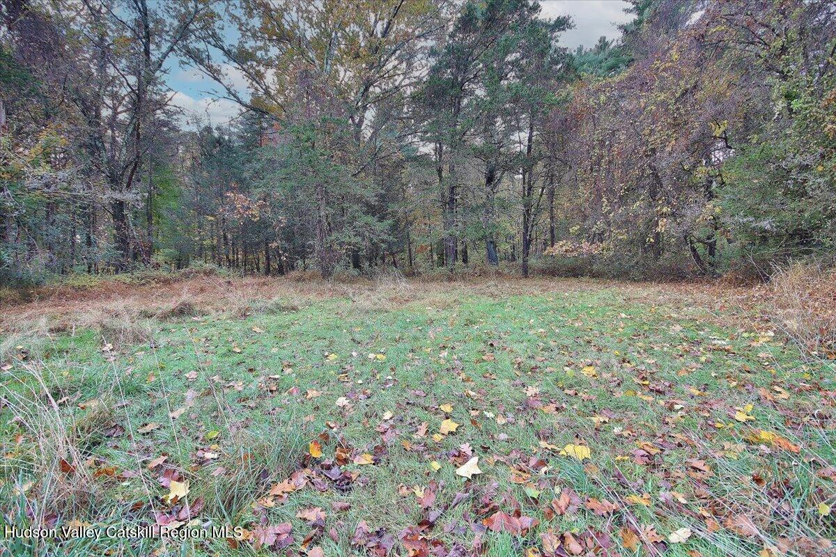 139 Mill Dam Road Stone Ridge, NY 12484 - Photo 16 of 18 a big yard with lots of green space
