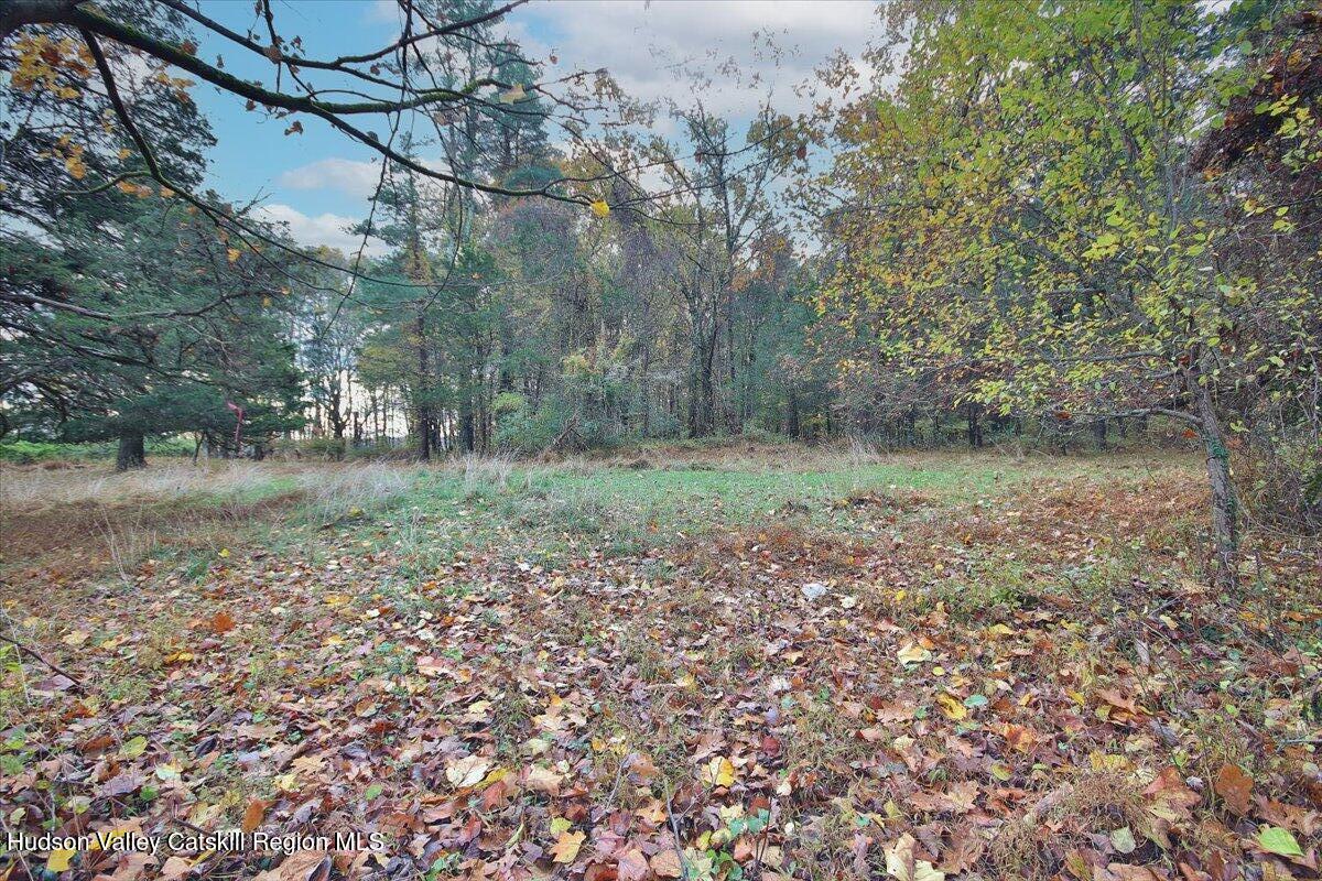 139 Mill Dam Road Stone Ridge, NY 12484 - Photo 17 of 18