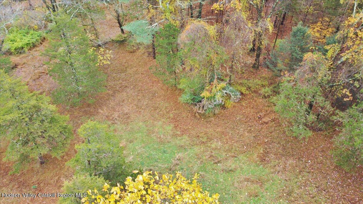 139 Mill Dam Road Stone Ridge, NY 12484 - Photo 18 of 18 a view of a yard with plants and flowers