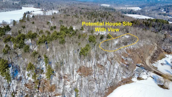 a view of patio with table and chairs and couches with large trees