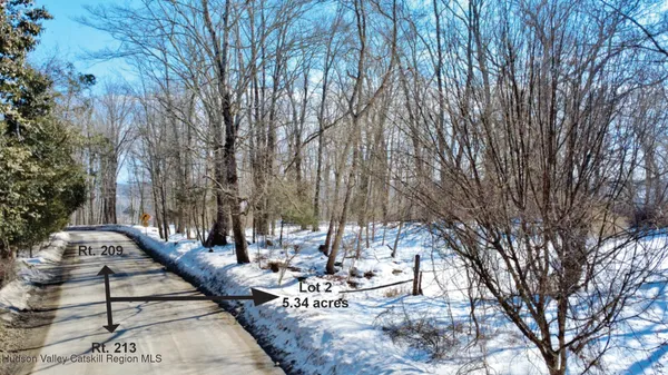 a view of a dry yard