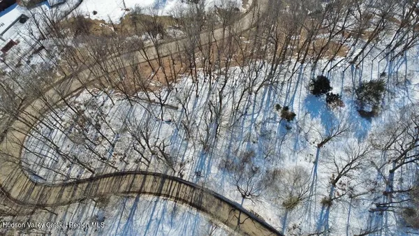 a view of lot of trees