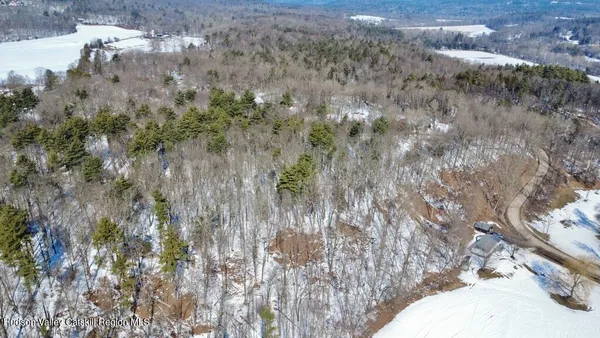 a view of a yard with trees