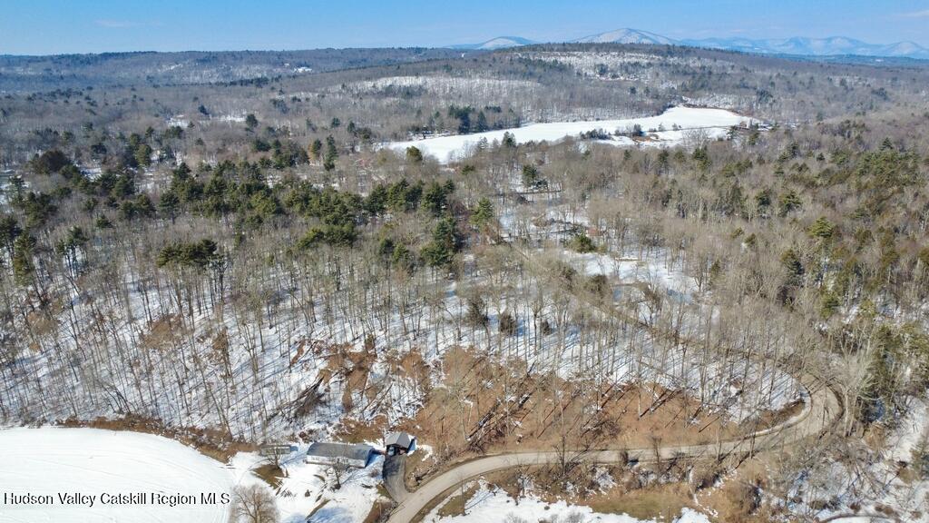 139 Mill Dam Road Stone Ridge, NY 12484 - Photo 8 of 18 a view of lot of trees