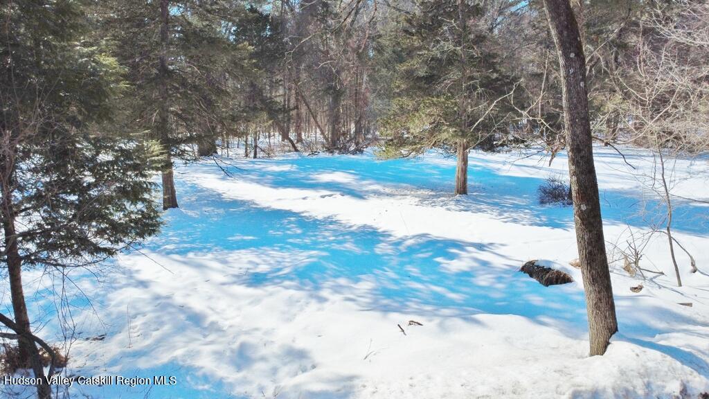139 Mill Dam Road Stone Ridge, NY 12484 - Photo 9 of 18 a view of a yard with trees