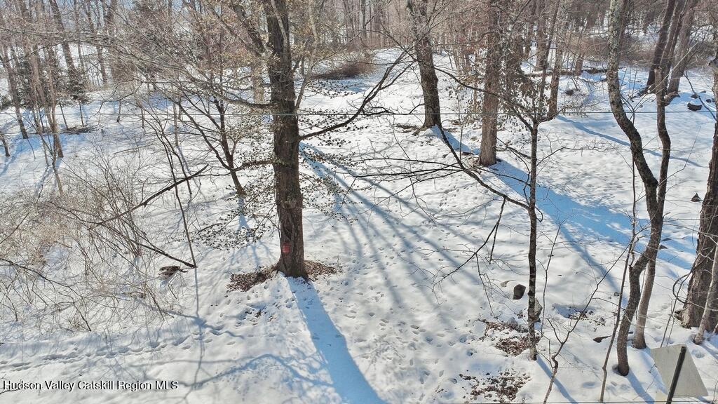 139 Mill Dam Road Stone Ridge, NY 12484 - Photo 10 of 18