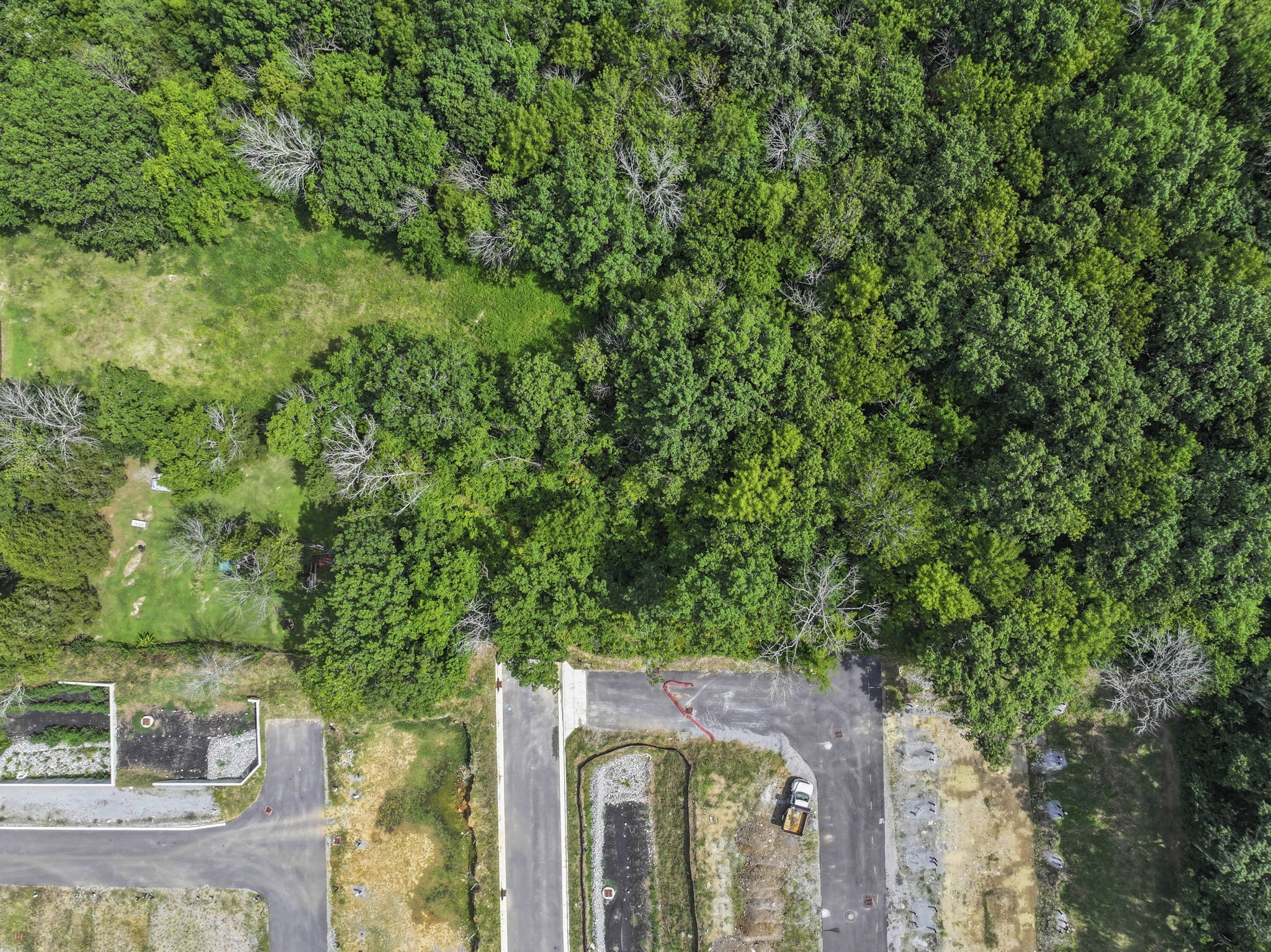 3047 Hillside Road Nashville, TN 37207 - Photo 8 of 15